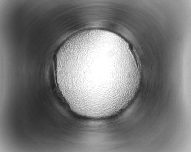 X0000088150842200706042027