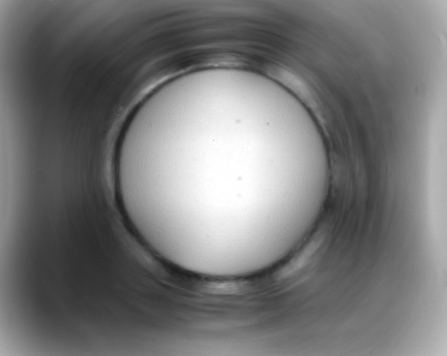 X0000088150843200706042027