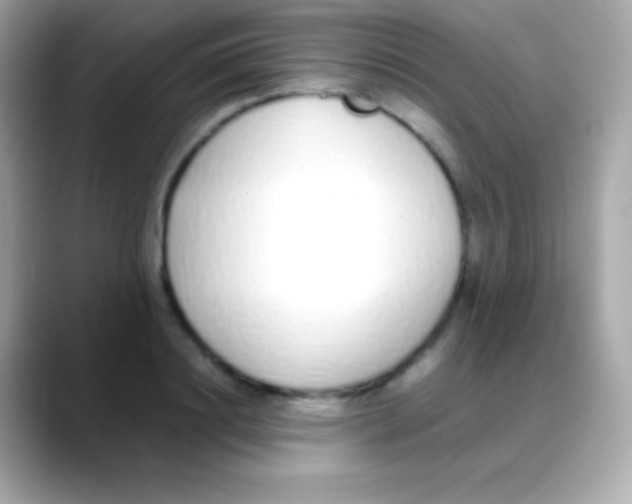 X0000088150844200706042027