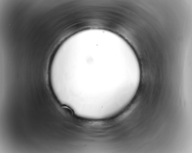 X0000088150845200706042027