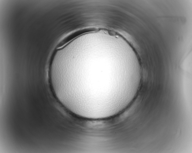 X0000088150846200706042027