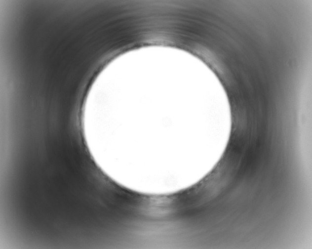 X0000088150848200706042027