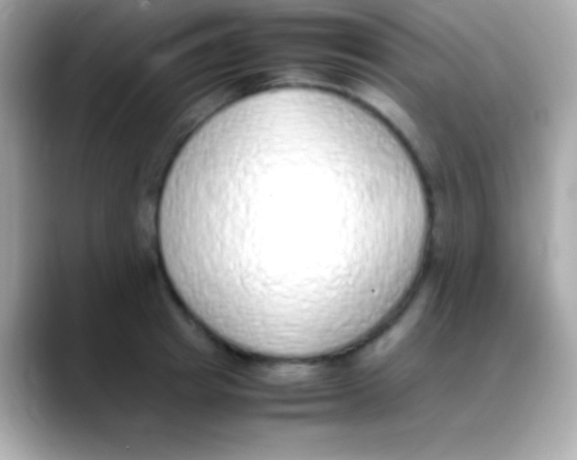 X0000088150849200706042027