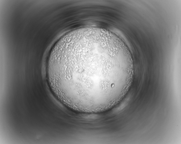 X0000088150851200706042027