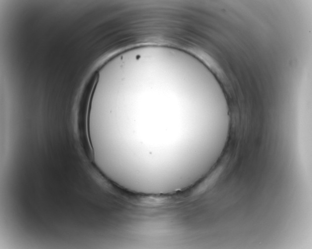 X0000088150854200706042027