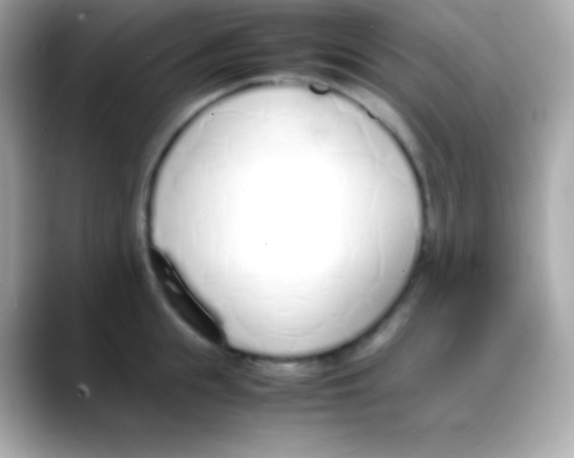 X0000088150855200706042027