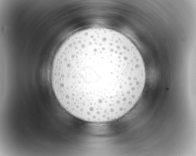 X0000088150856200706042027