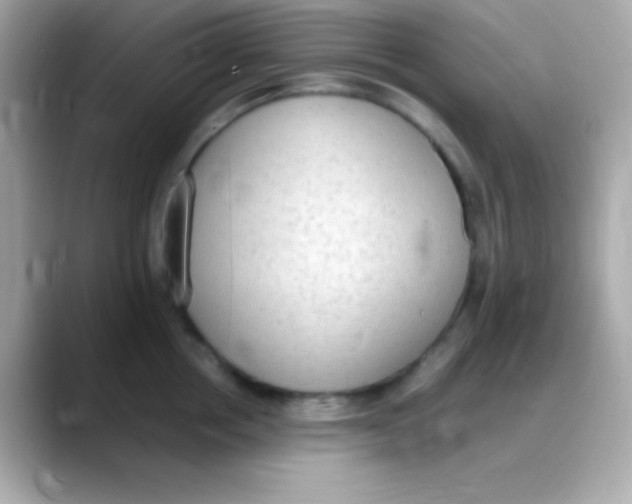 X0000088150858200706042028