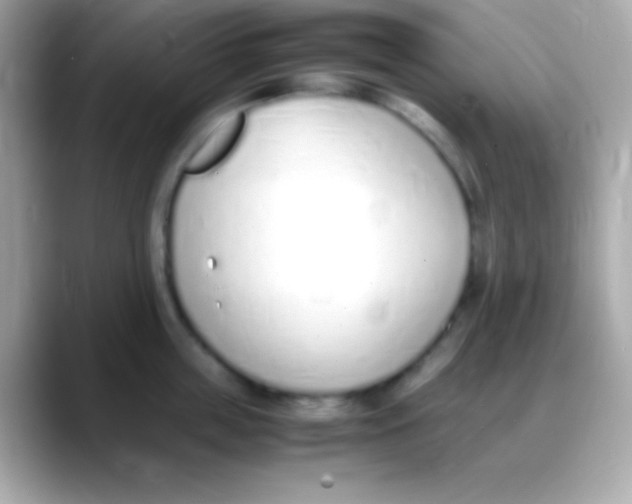 X0000088150859200706042028