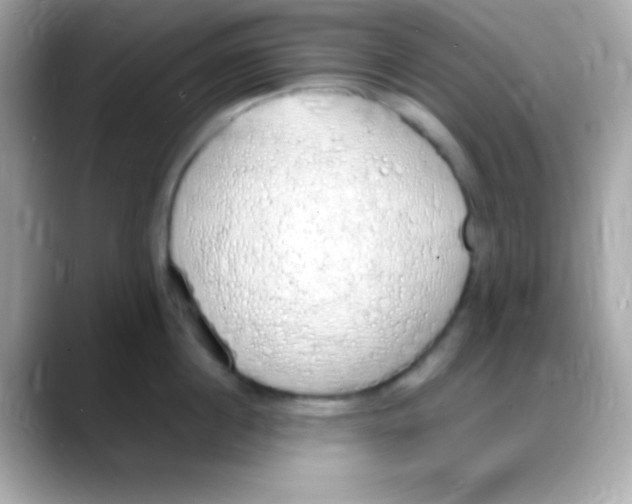 X0000088150860200706042028