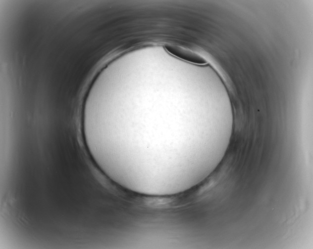 X0000088150861200706042028