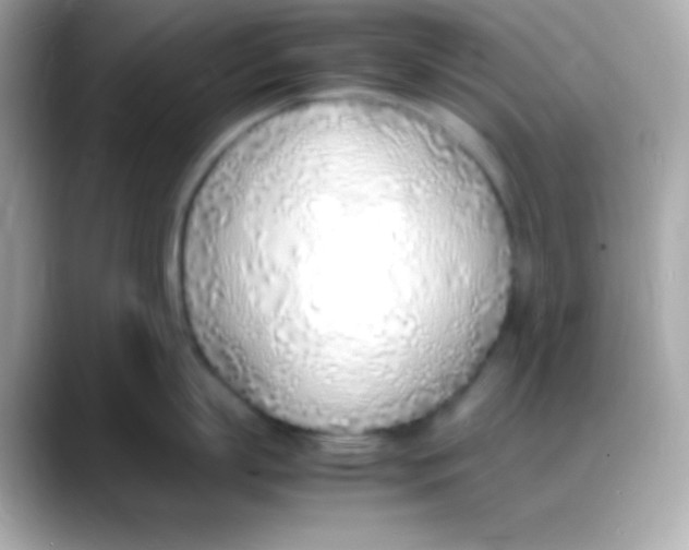 X0000088150863200706042028