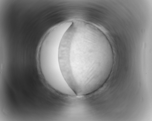 X0000088150864200706042028