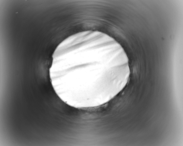 X0000088150868200706042027