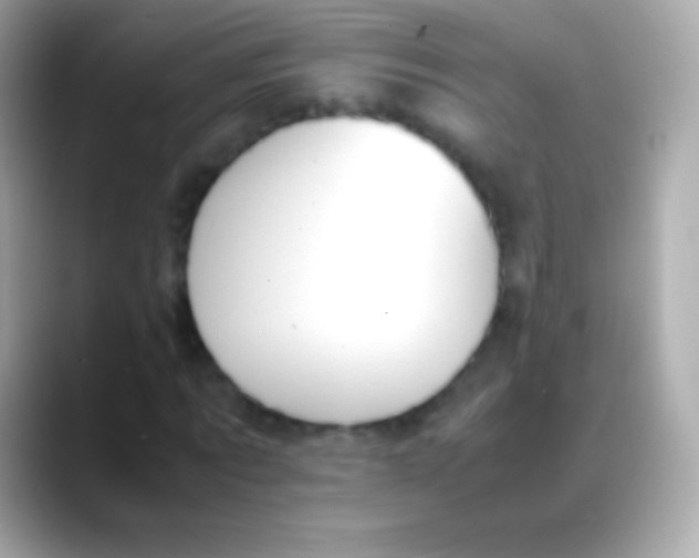 X0000088150869200706042027