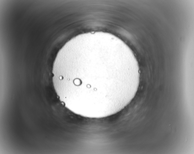 X0000088150871200706042027