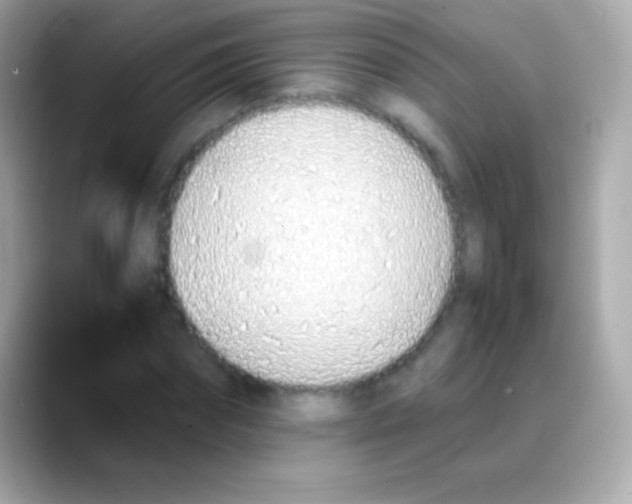 X0000088150874200706042027