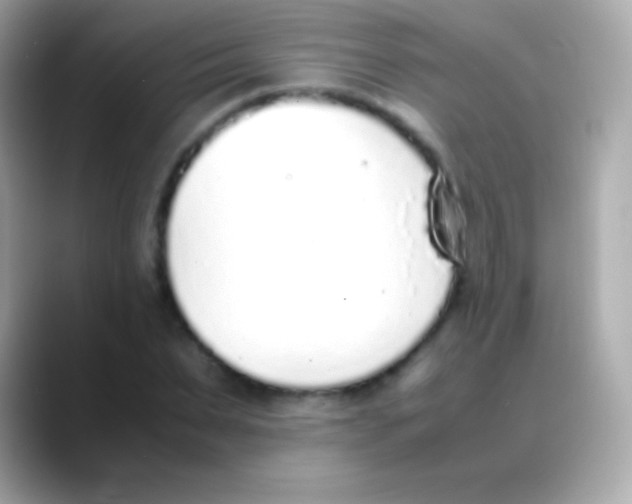 X0000088150879200706042027