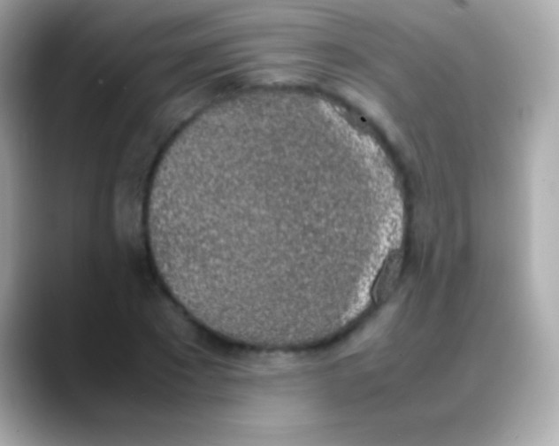 X0000088150881200706042027