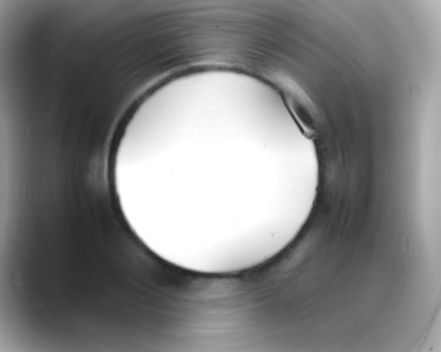 X0000088150884200706042027