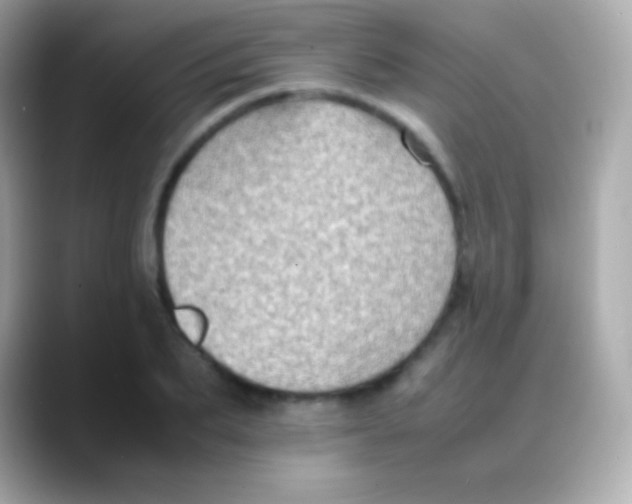 X0000088150887200706042027