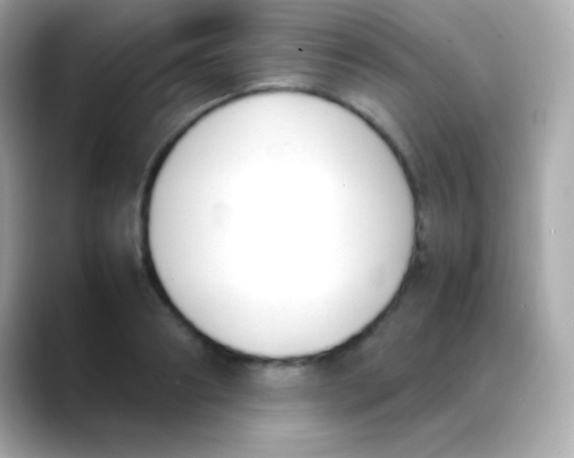 X0000088150890200706042027