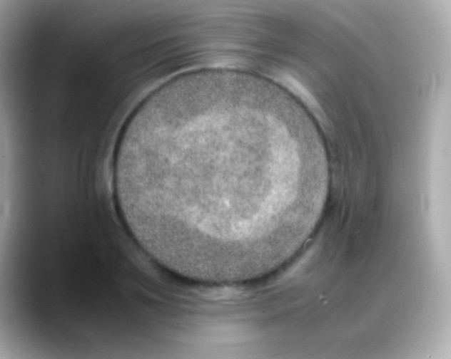 X0000088150891200706042027