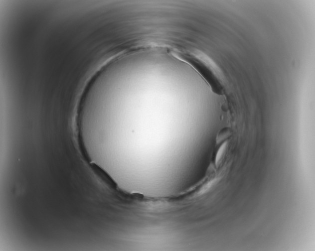 X0000088150893200706042027