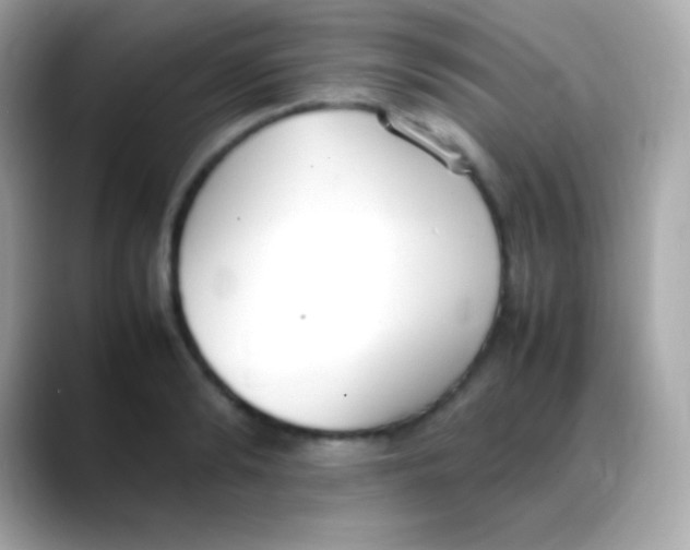 X0000088150894200706042027