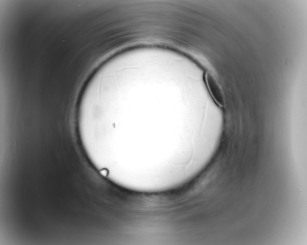 X0000088150895200706042027