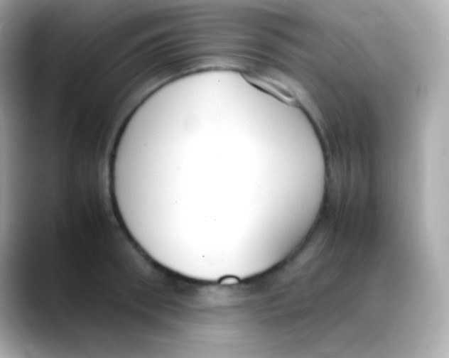 X0000088150898200706042027