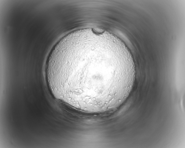 X0000088150899200706042027