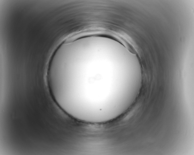 X0000088150901200706042026