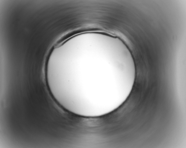 X0000088150902200706042026