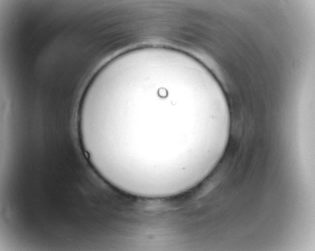 X0000088150903200706042026