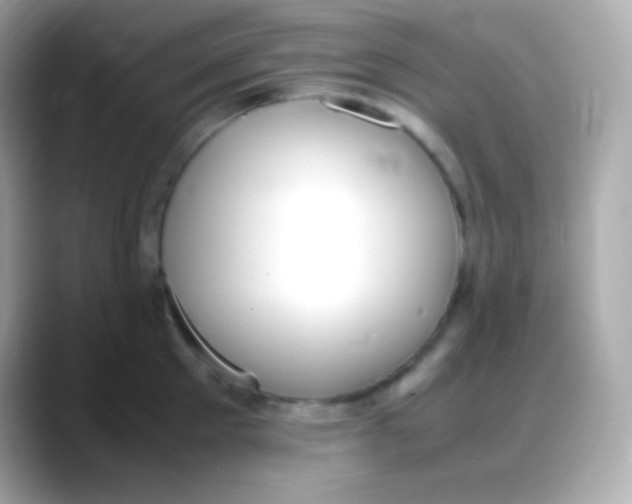 X0000088150905200706042026