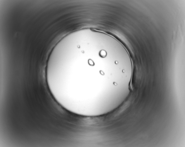 X0000088150906200706042026