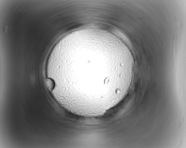 X0000088150907200706042026