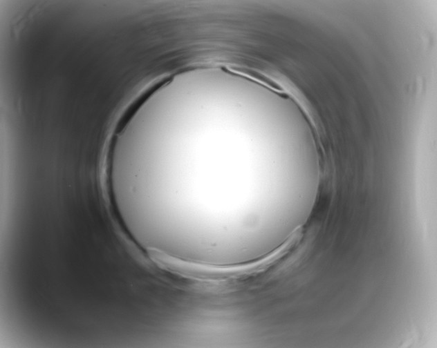 X0000088150909200706042026