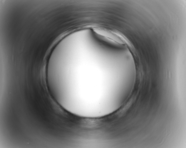 X0000088150910200706042026