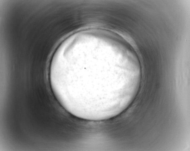 X0000088150912200706042026