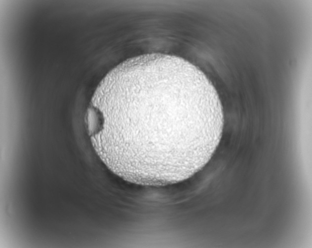 X0000088150913200706042026