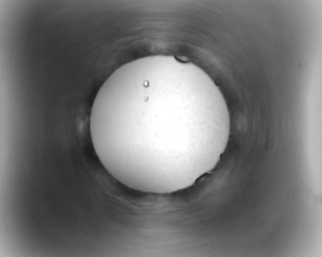 X0000088150914200706042026