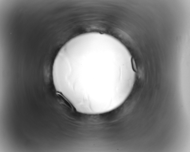 X0000088150915200706042026