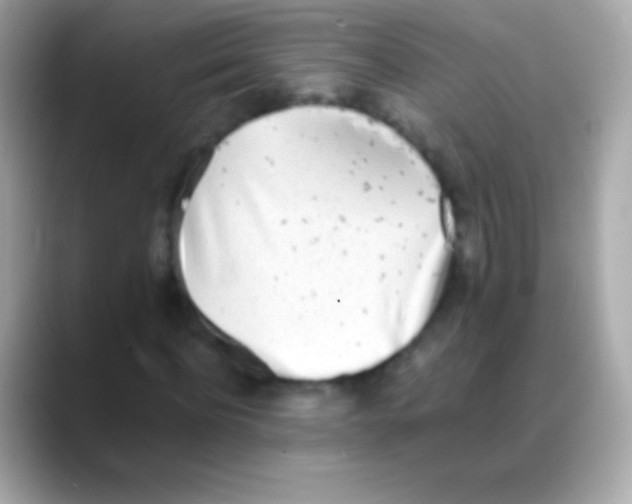 X0000088150916200706042026