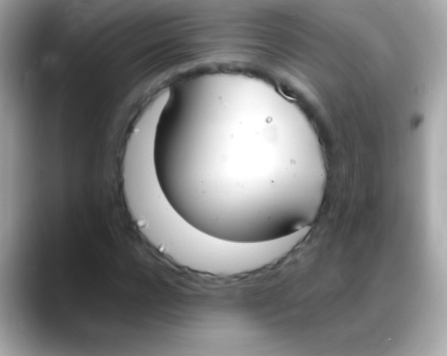 X0000088150920200706042026