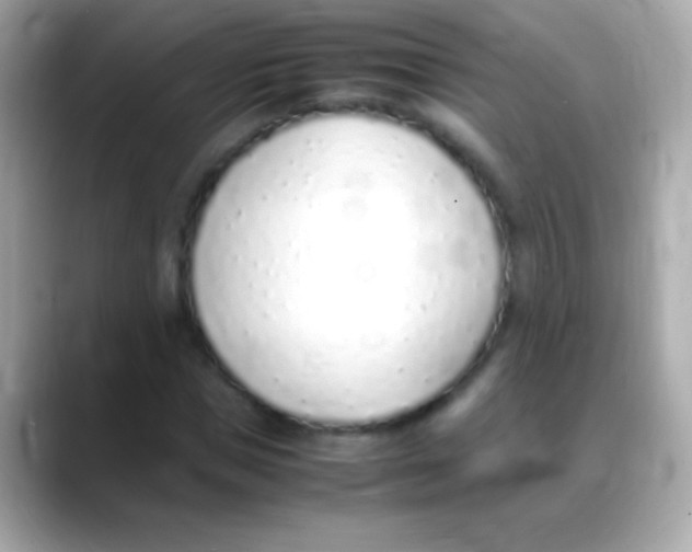 X0000088150921200706042026