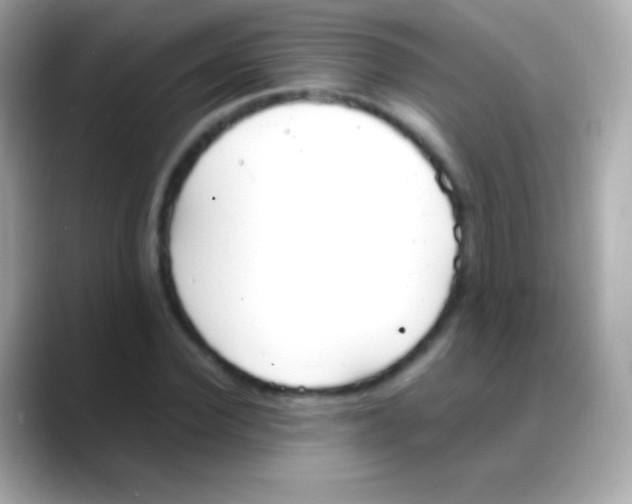 X0000088150924200706042026