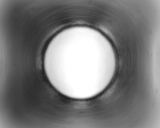 X0000088150925200706042026