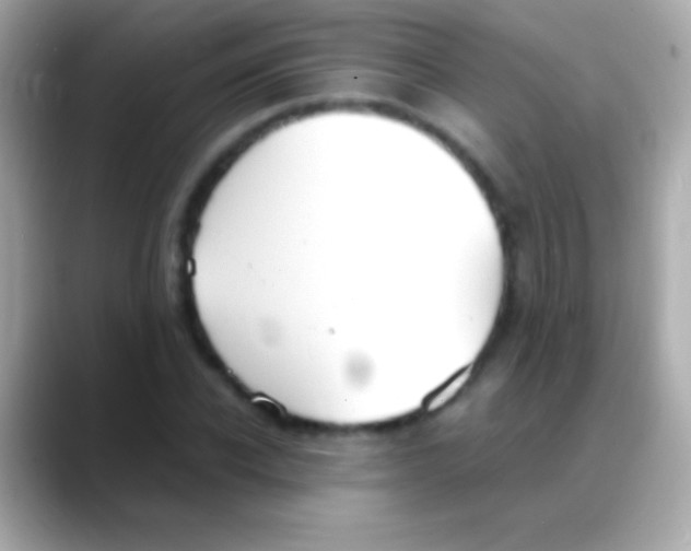 X0000088150926200706042026